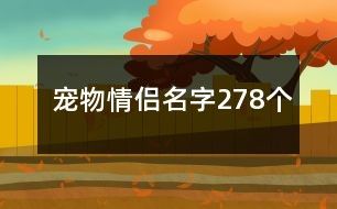 宠物情侣名字278个