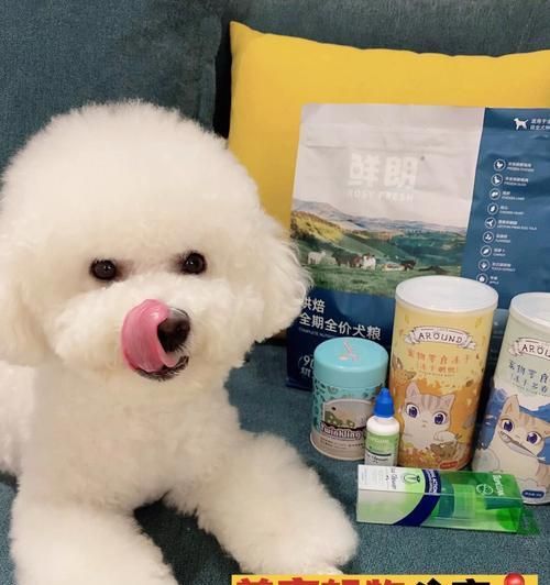 比熊犬饲养全攻略（宠物之选，从比熊犬开始/完美饲养，让比熊犬成为你的家庭成员）