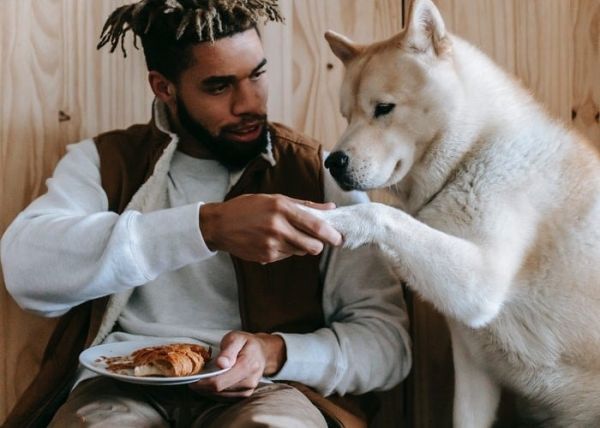 Un hombre desayuna junto a su perro