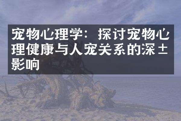 宠物心理学：探讨宠物心理健康与人宠关系的深层影响