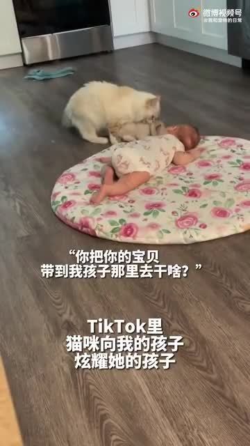 “喵呜~我家的娃都会走了，你什么时候学会走呢 ”