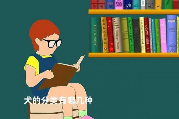 犬的分类有哪几种