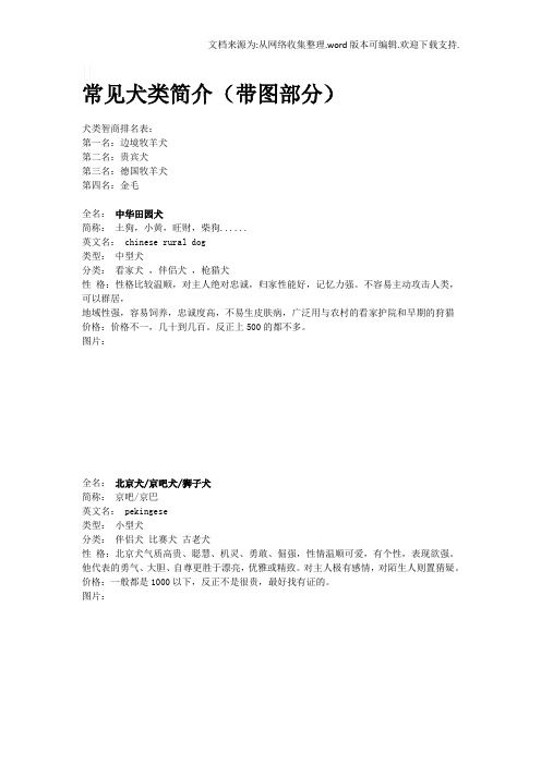 常见犬类简介带图(部分)