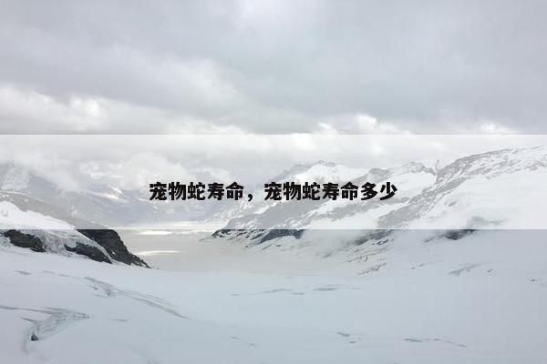宠物蛇寿命，宠物蛇寿命多少