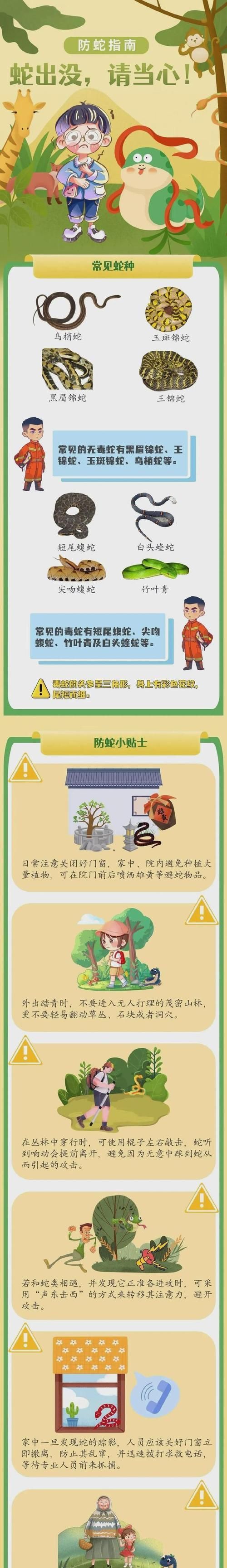 养蛇的注意事项（养蛇必须注意的15个要点）