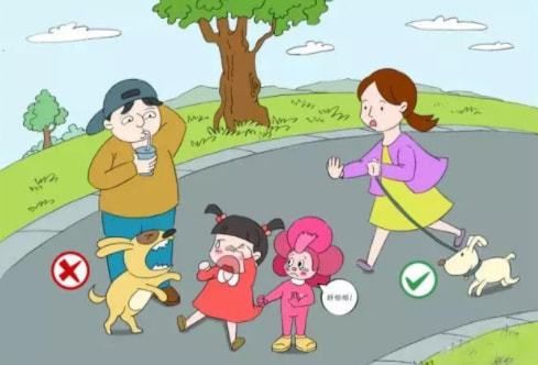 宠物走失，预防为主，细心看管。