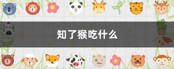 知了猴吃什么