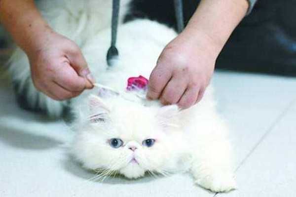 83cf1b8ddd09e0ebeb9c731a5df89aa4_副本.jpg