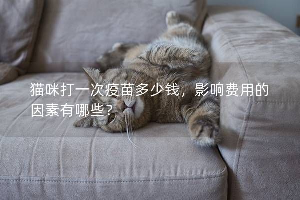 猫咪打一次疫苗多少钱，影响费用的因素有哪些？