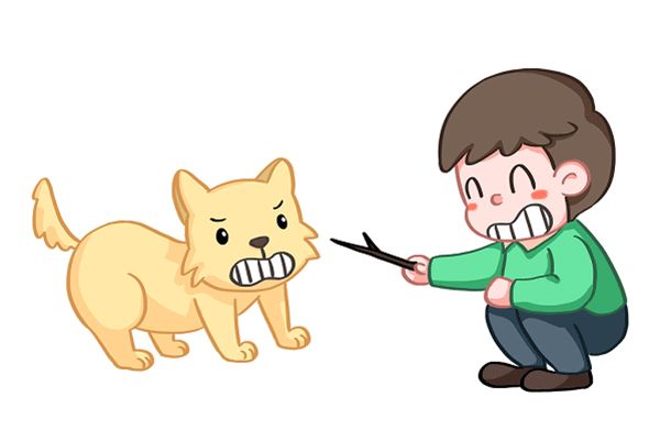 怎么培训大型犬