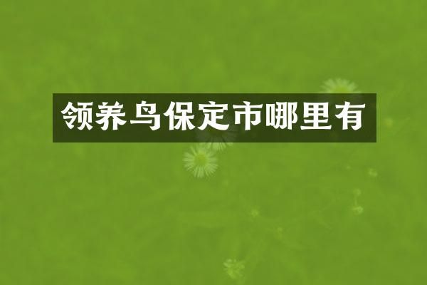 领养鸟保定市哪里有