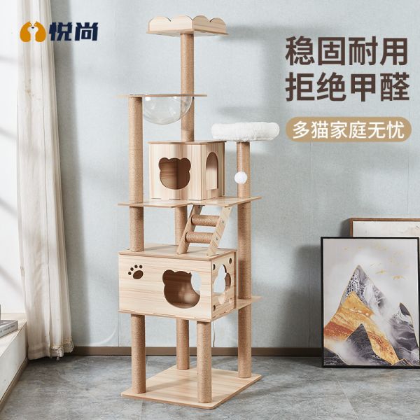 学龙小铺猫窝/屋/帐篷/沙发