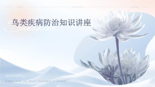 鸟类疾病防治知识讲座_第1页