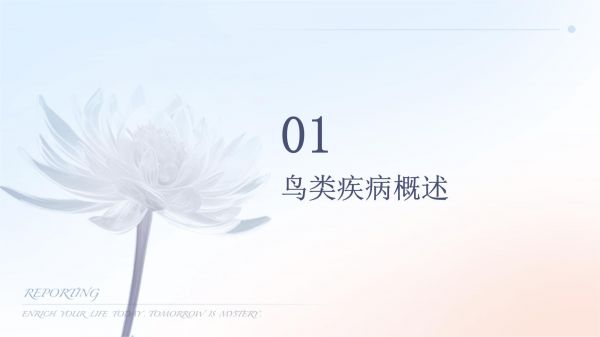 鸟类疾病防治知识讲座_第3页