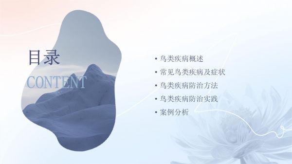 鸟类疾病防治知识讲座_第2页