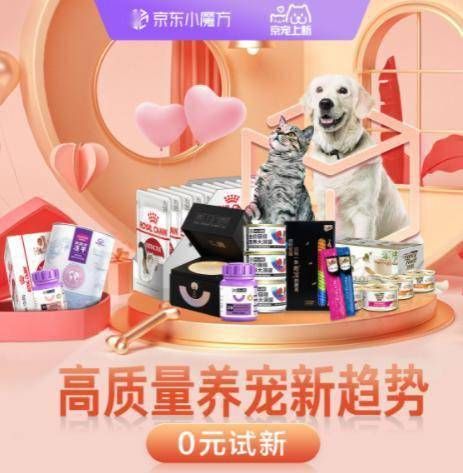 宠物玩具挑选攻略:快乐健康必备15招