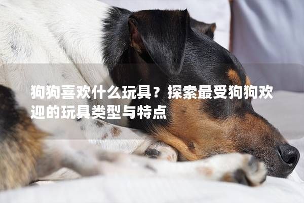 狗狗喜欢什么玩具？探索最受狗狗欢迎的玩具类型与特点
