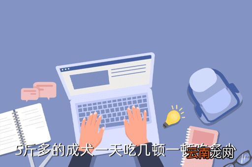 成犬一天一顿吃多少克,成年狗狗一天吃几餐最好