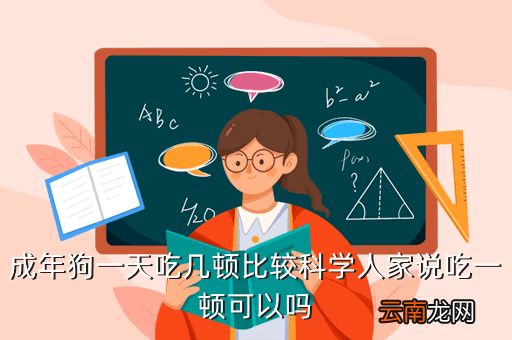 成犬一天一顿吃多少克,成年狗狗一天吃几餐最好
