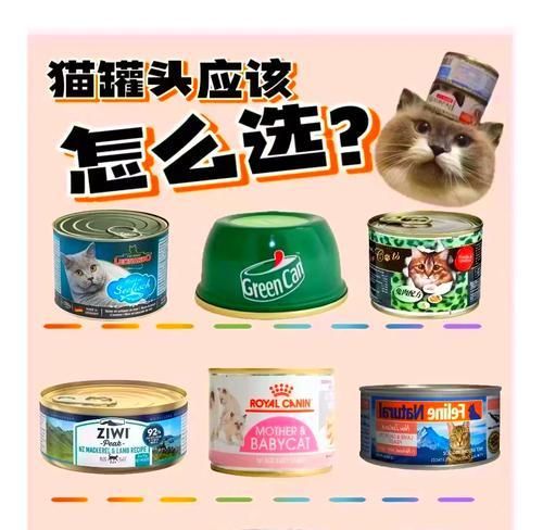 两块多的猫粮罐头有哪些选择？性价比如何？