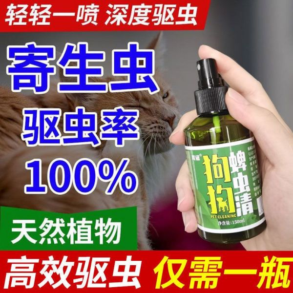 淘趣乐园小店的其他美容护理用品