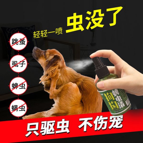 淘趣乐园小店其他美容护理用品