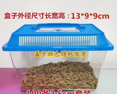 如何合理搭配食物喂养八哥鸟（科学饲养让八哥鸟健康成长）