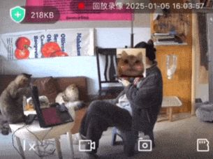 △ 猫:离职报告,走你!