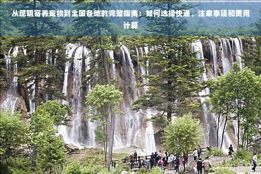 从昆明寄养宠物到全国各地的完整指南：如何选择快递、注意事项和费用计算