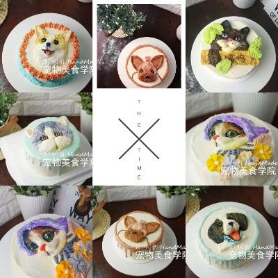 宠物烘焙哪里有卖的 宠物烘焙很难做