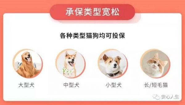 家庭成员-宠物猫狗的专属医疗保险