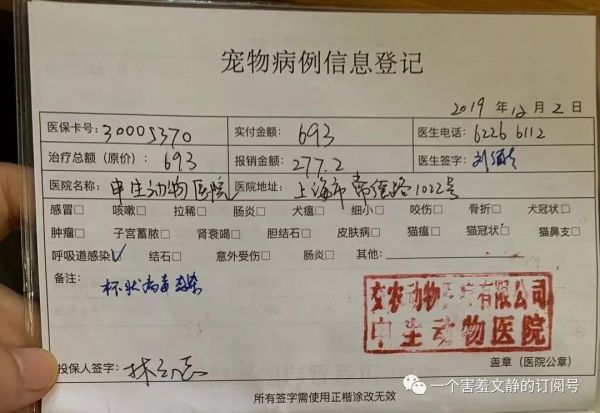 宠物保险可以买吗?买哪家靠谱呢?