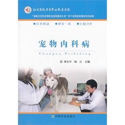 宠物内科：如何预防和治疗宠物常见疾病？宠物内科医院排行榜