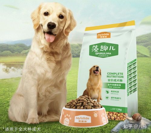 如何挑选合适的狗粮来正确驯养狗狗呢?