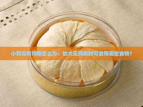 小狗没有狗粮怎么办：幼犬无狗粮时可食用哪些食物？