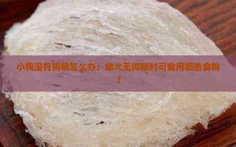 小狗没有狗粮怎么办：幼犬无狗粮时可食用哪些食物？