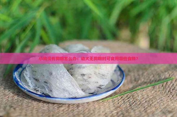 小狗没有狗粮怎么办：幼犬无狗粮时可食用哪些食物？