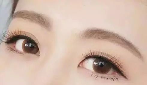 宠物画眉，选对眉型，美萌加分！