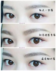 宠物画眉年龄速查,一目了然!