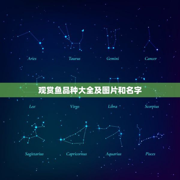 观赏鱼品种大全及图片和名字，什么品种观赏鱼好养 第1张