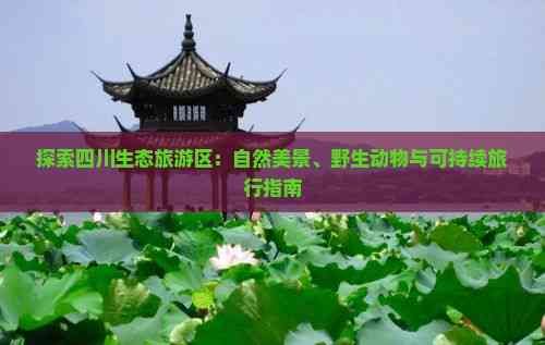 探索四川生态旅游区：自然美景、野生动物与可持续旅行指南