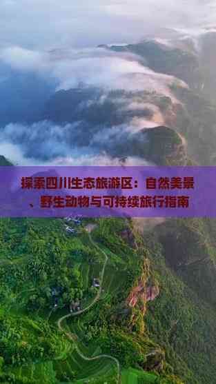 探索四川生态旅游区：自然美景、野生动物与可持续旅行指南