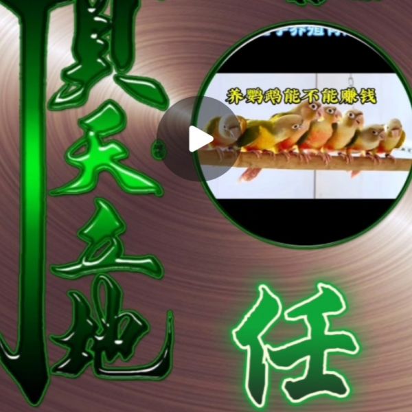店主头像