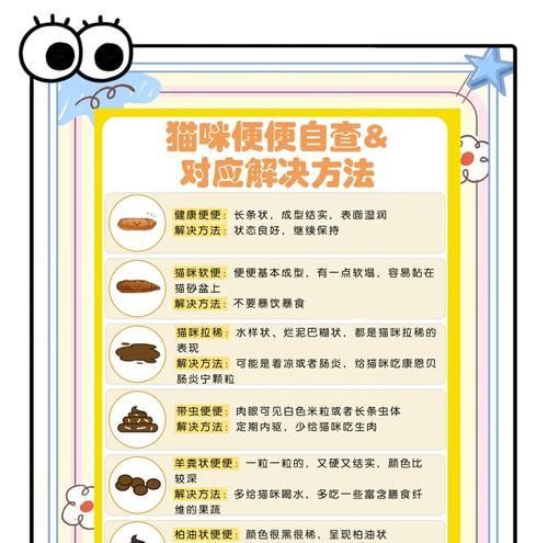猫粮吃完后拉屎臭是什么原因？如何改善？