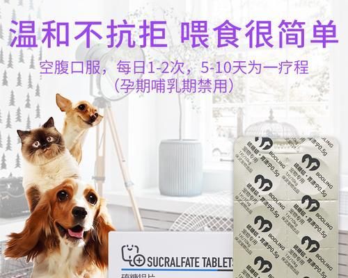 小狗肠胃炎调理指南（用宠物友好的方式帮助你的小狗恢复健康）
