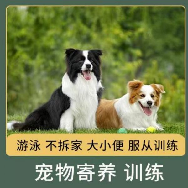 店主头像