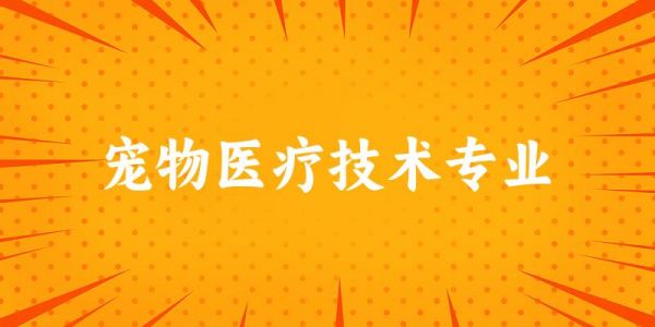 宠物医疗技术专业云南录取分数线