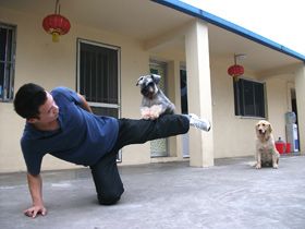 Advanced Training 1