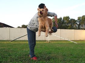 Advanced Training 2