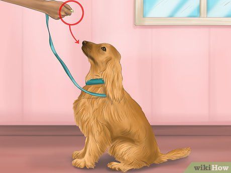 Step 2 使用奖励的方式来训练自我奖励行为。
